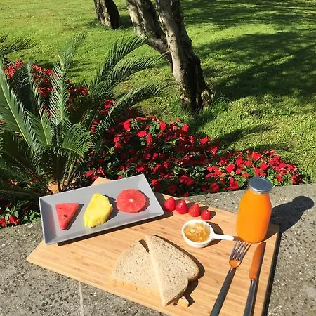 Kinzica 살레마라시노